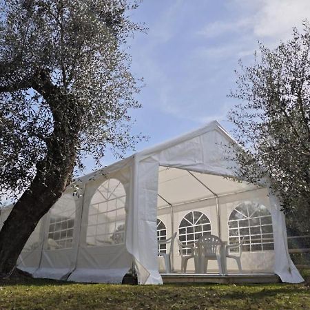 Appartamento Alba Dachi Farm Marina dʼMarina dʼAndora Exterior foto